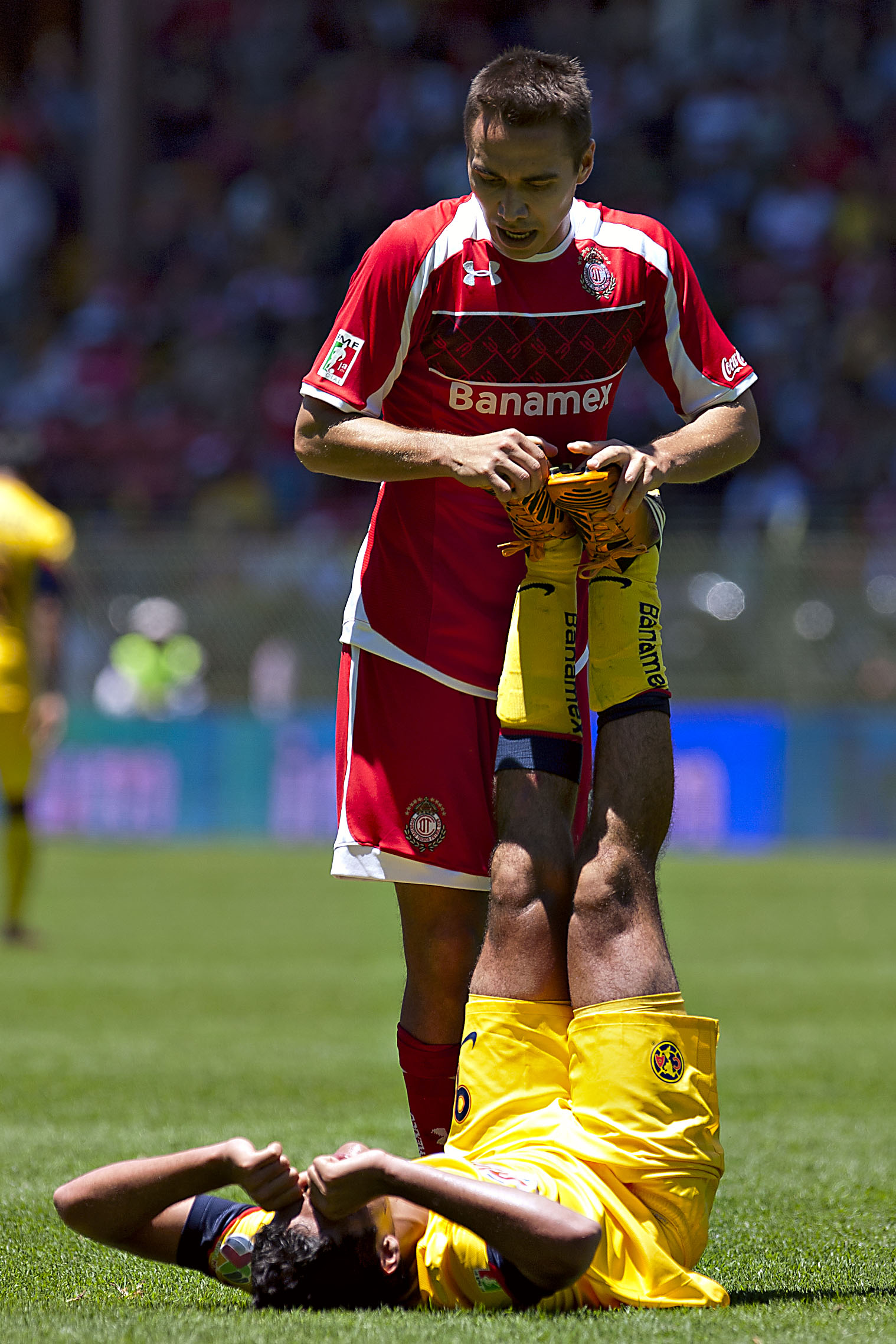 Semifinales Apertura 2012