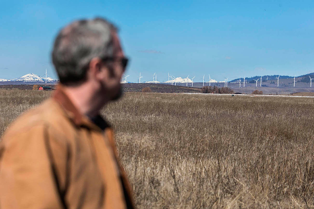 Paneles solares en las tierras agrícolas provocan debate en el centro de Washington