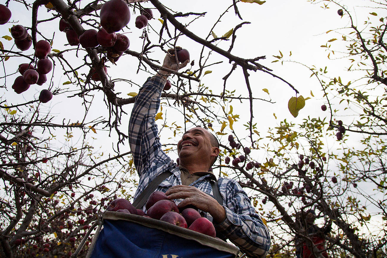 Mercado de agricultores en Yakima