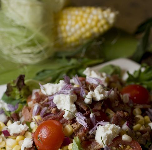 Elote desgranado _ no es solamente para cocinar | La Raza del Noroeste