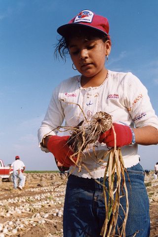 Quieren menos niños en el campo