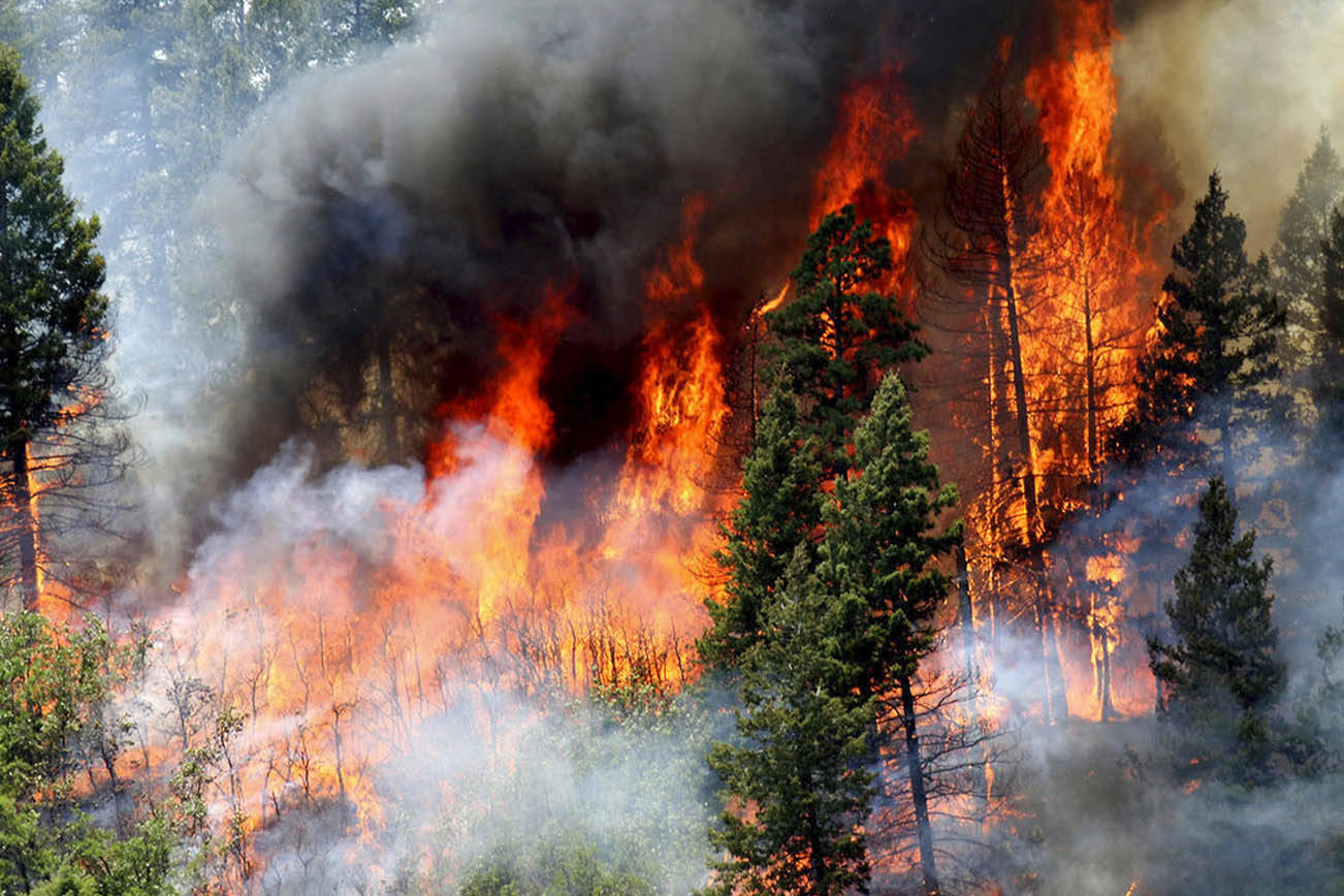 Temporada de Incendios