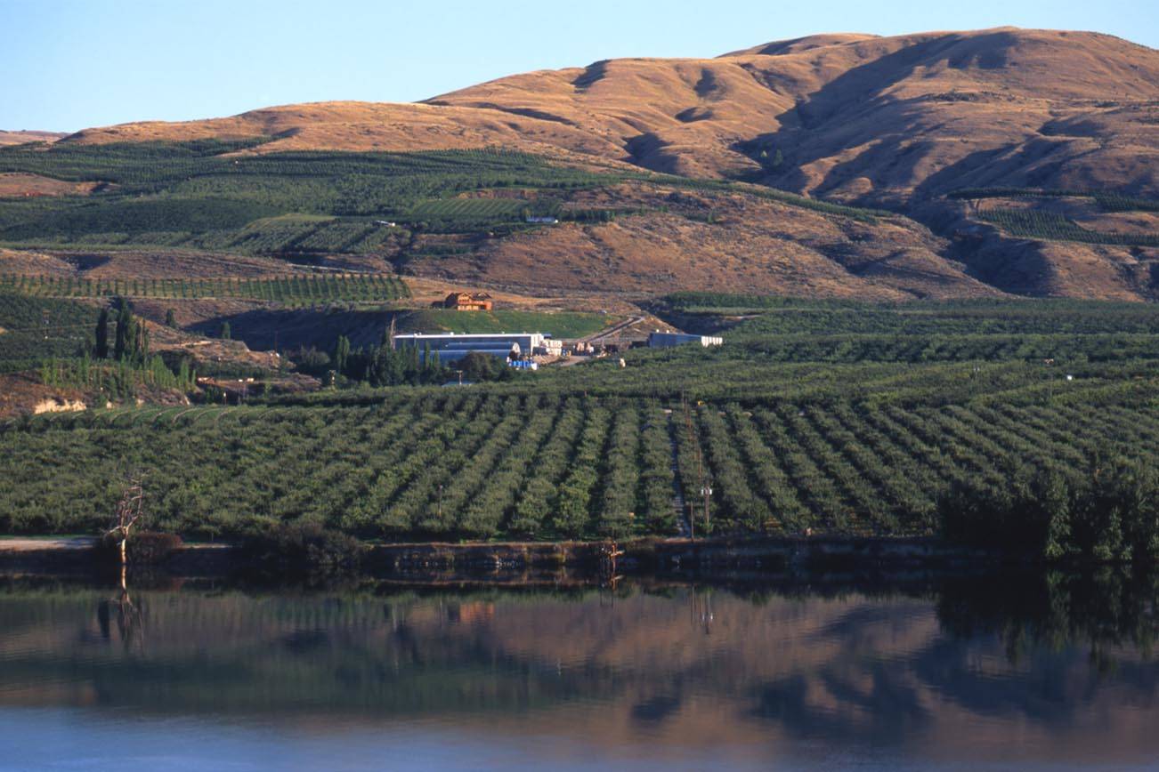 Trabajadores Agrícolas H-2A Demandan a Larson Orchards en Yakima