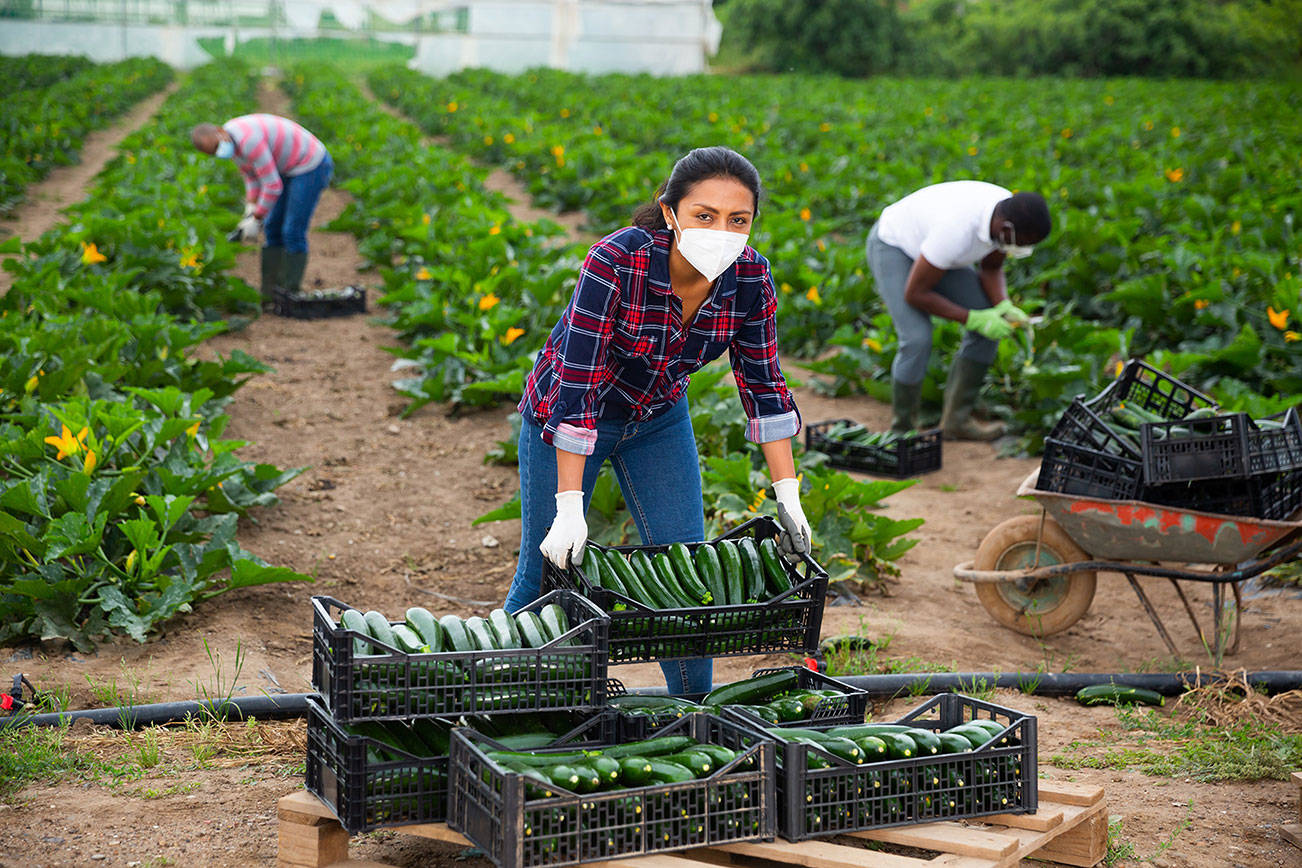 Farmer