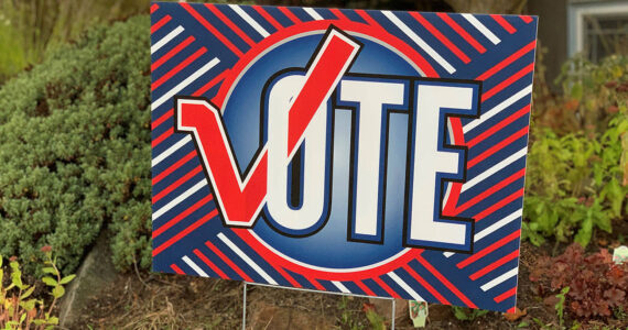 Vote sign